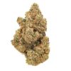 Afghan Kush strain