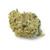Gorilla Glue Kush strain