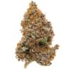Purple Haze Strain