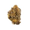 Purple Kush strain