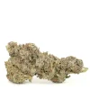 Exotic Weed For Sale - Order Exotic Weed Online